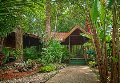 Pachira Lodge, Tortuguero