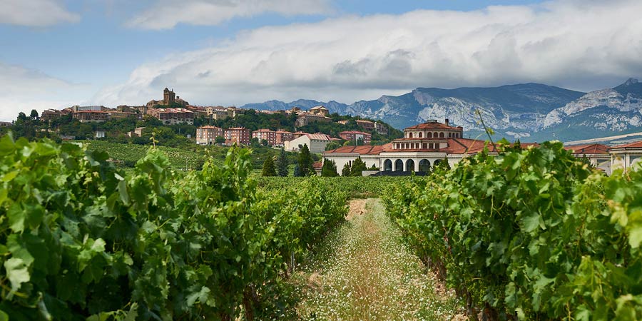 Enjoying lunch at a Rioja wine estate near medieval Laguardia