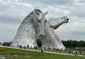 Sue MURRELL