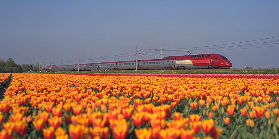 Thalys