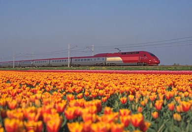 Thalys