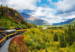 Denali National Park wildlife