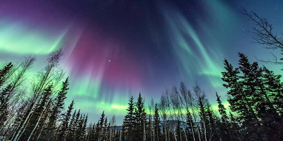 Northern Lights