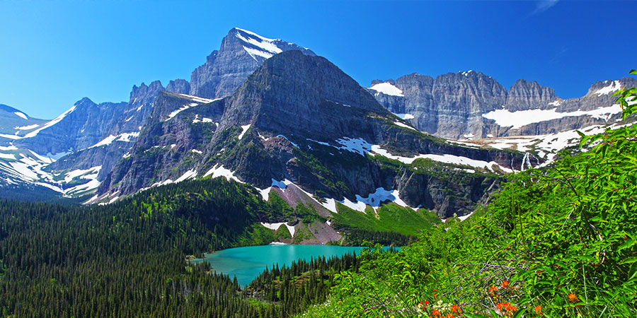 Glacier Parks Lakes and Wildflowers