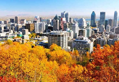 Montreal During Foliage Season Montreal During Foliage Season