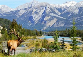 Valley Ten Peaks Banff