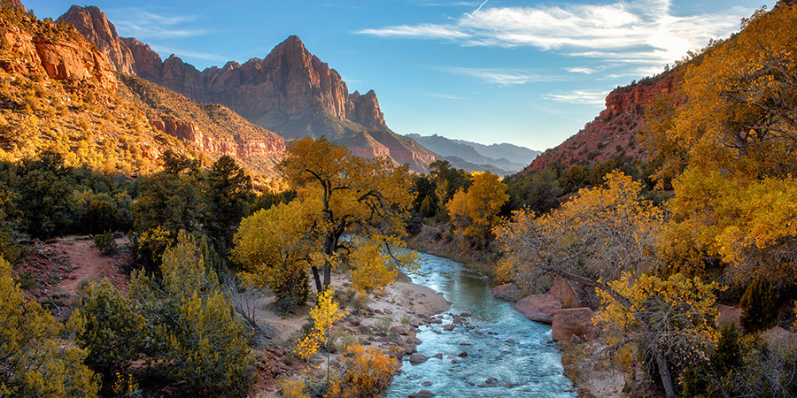 the virgin river in Zion National Park
