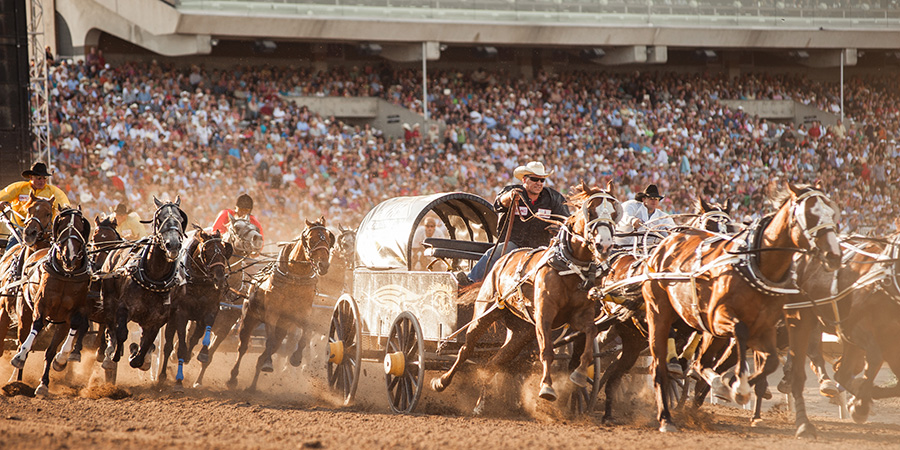 Calgary Stampede