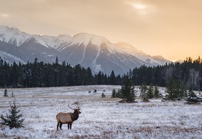 Banff, Winter