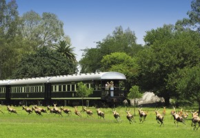 Pride of Africa in Kwa-Zulu Natal