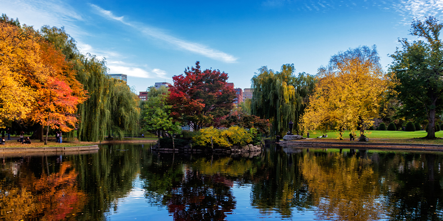 Uncover Boston’s rich history