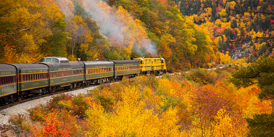 View foliage aboard two scenic trains