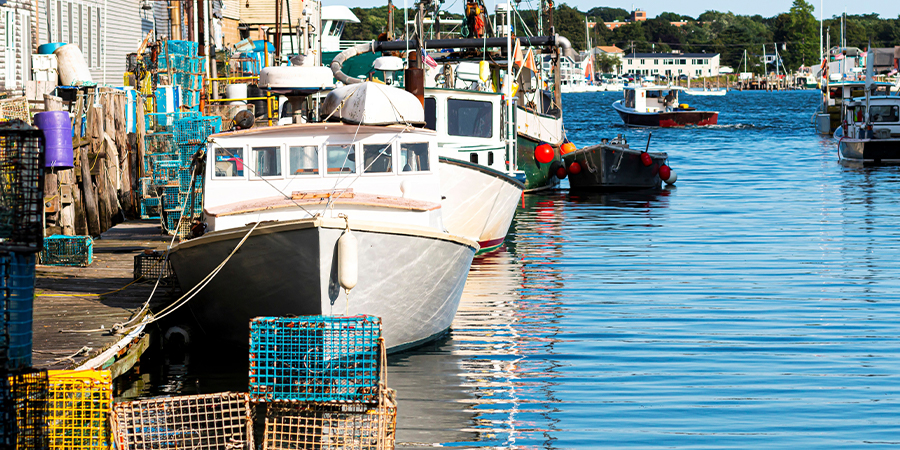 Getting a seaside perspective on Maine’s lobster industry