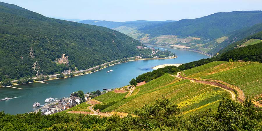Discovering Rüdesheim