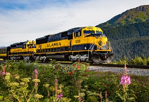 Alaska Railroad travelling through mountains