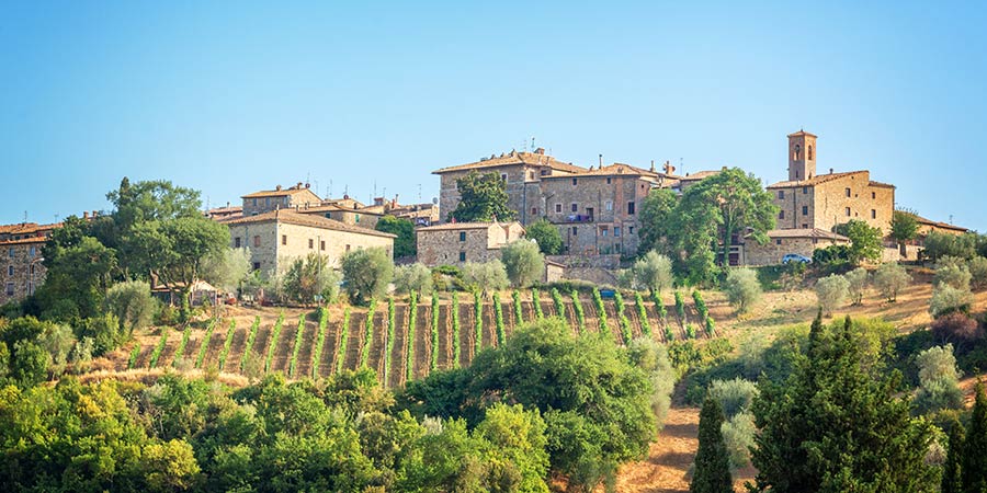 La Dolce Vita to Montalcino
