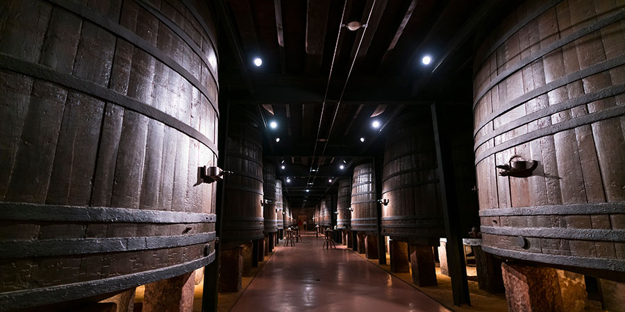 Rioja Day-Trip: Wine, Culture & Gastronomy 