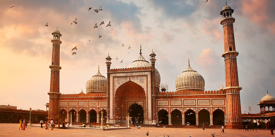 Exploring Delhi