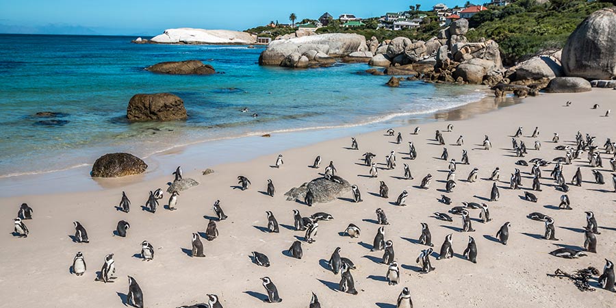Another full day to in beautiful Cape Town