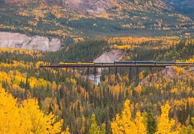 Trestle Bridge, Denali National Park