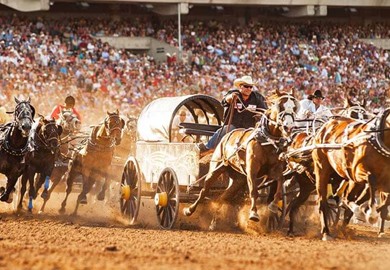 Chuckwagon Racing Chuckwagon Racing