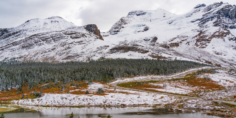 Visit the famous Columbia Icefield