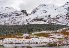 Bow Lake, Banff National Park