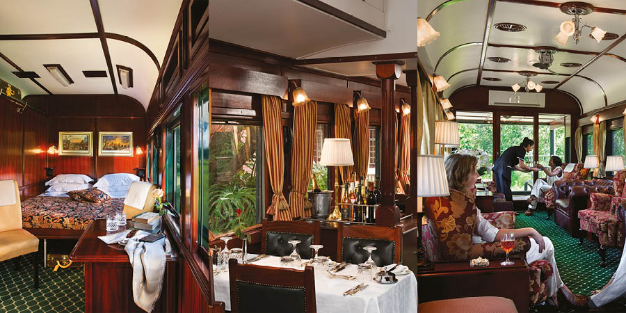 Pride Of Africa Interior
