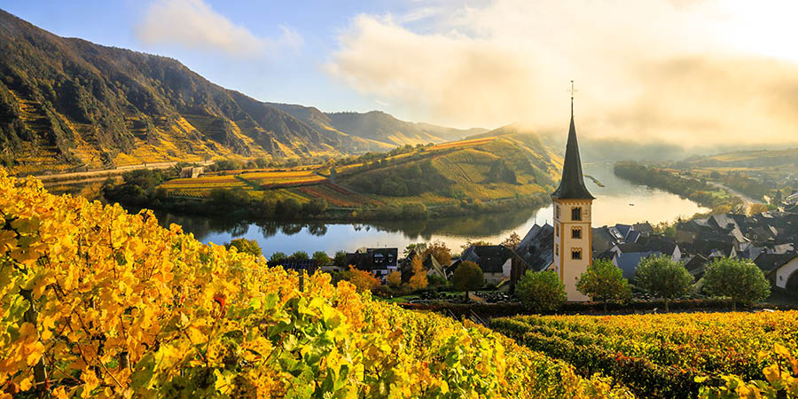 The Moselle Loop