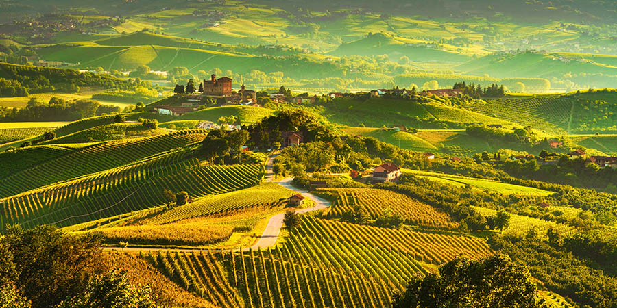 Langhe vineyards sunset panorama, Northern Italy