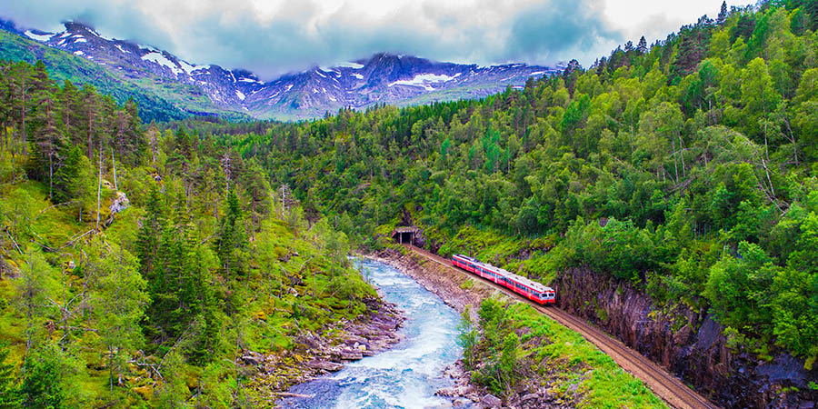 Train Oslo - Bergen