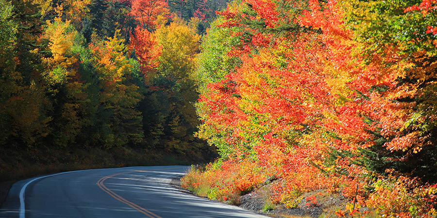 Scenic Kancamagus high way