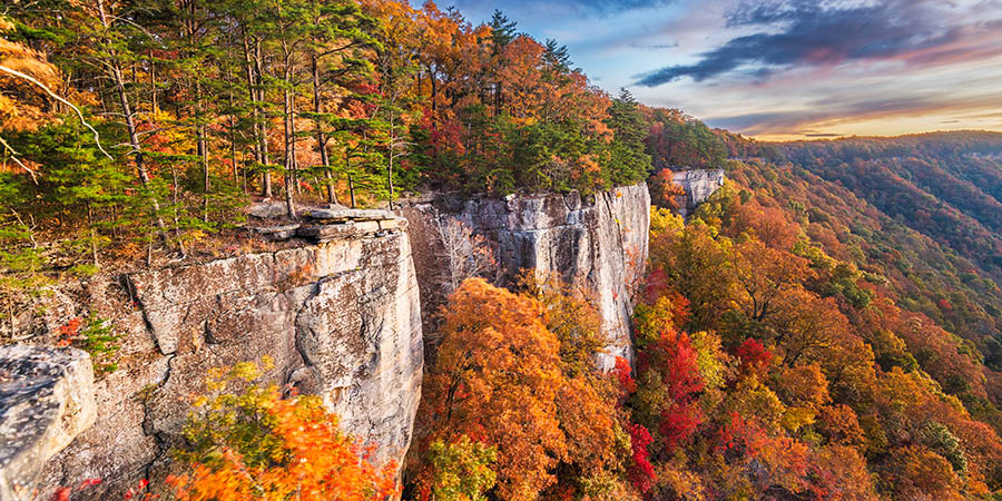 New River Gorge West Virginia Autumn
