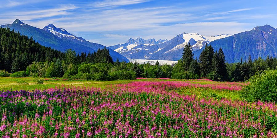 Mendenhall Glacier Viewpoint