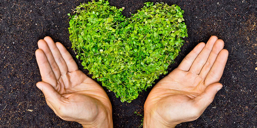 Hands holding green heart