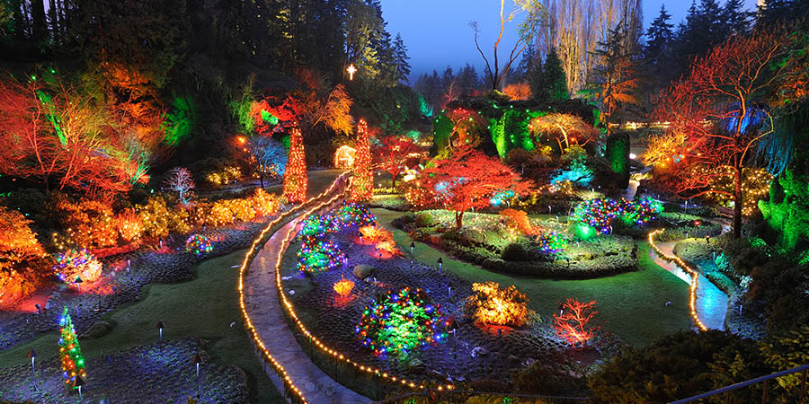 Christmas in historic butchart gardens
