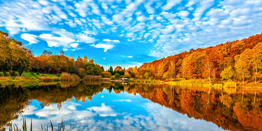 Autumn forest lake