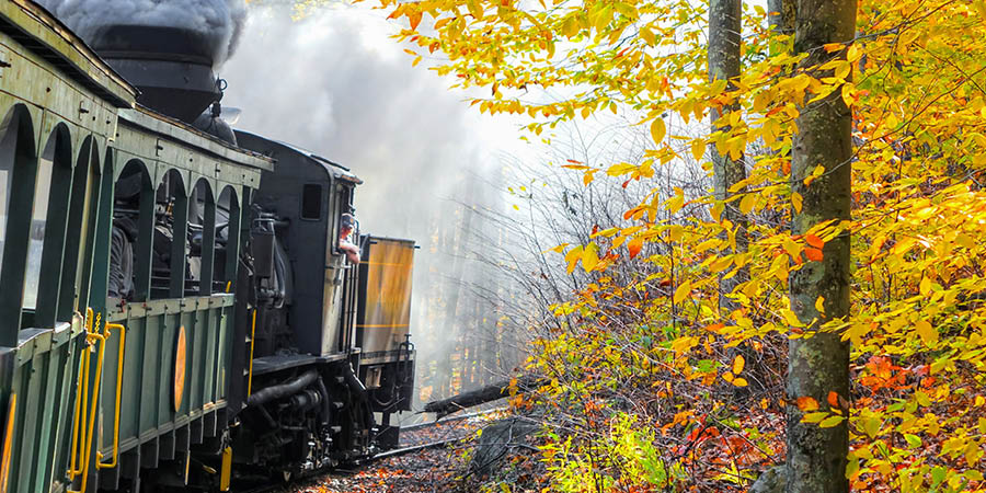 Cass Scenic Railroad