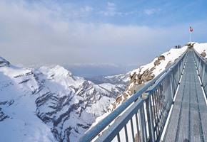 Glacier 3000 Mountain Excursion