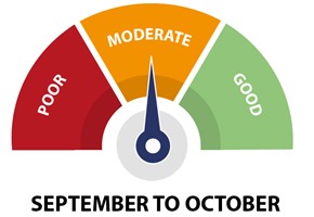 3 Nl Visibility Ratings Sept Oct Quarter
