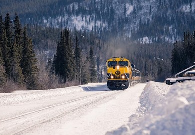 Alaska Railroad's Aurora Winter Train