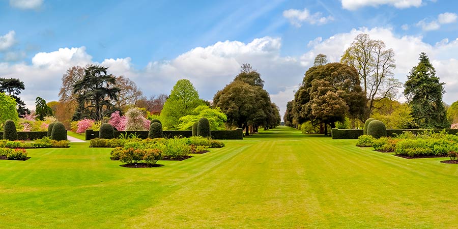 Spending an afternoon at the Royal Botanical Gardens, Kew