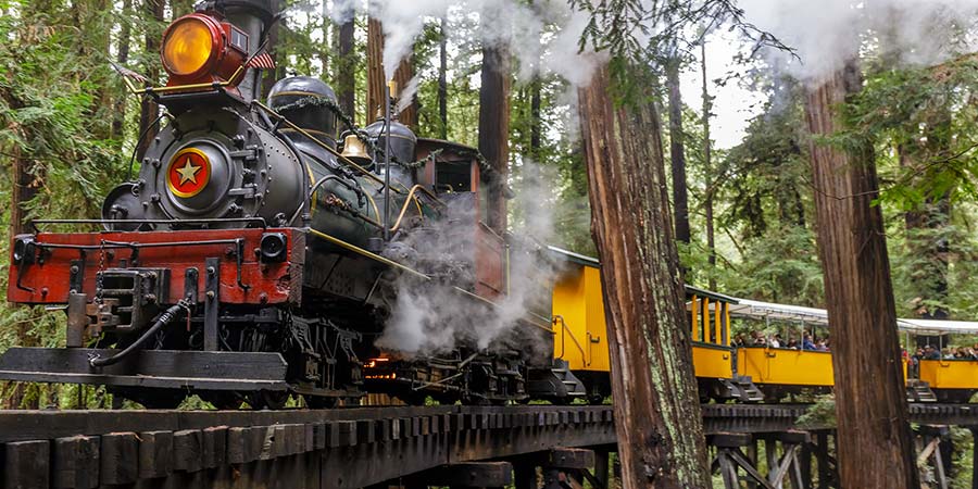 Redwood Forest Steam Train