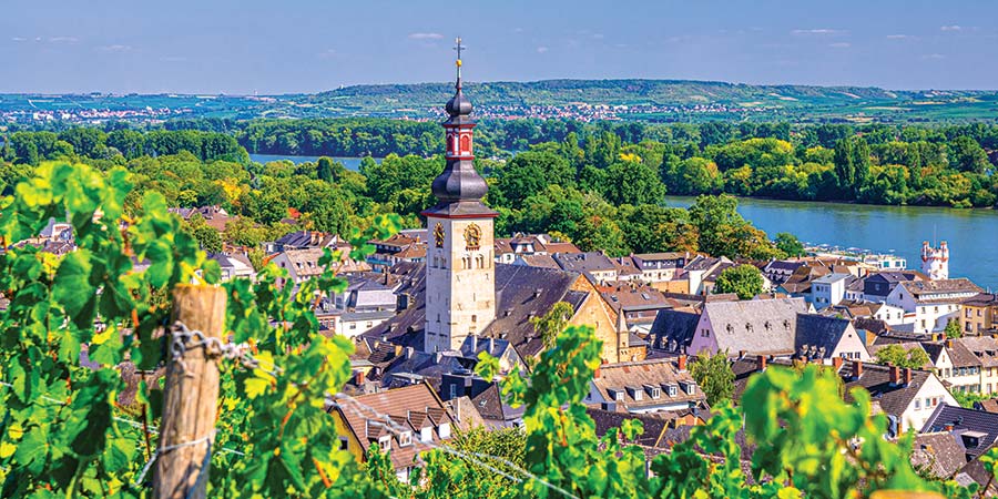 Uncovering picturesque Rüdesheim
