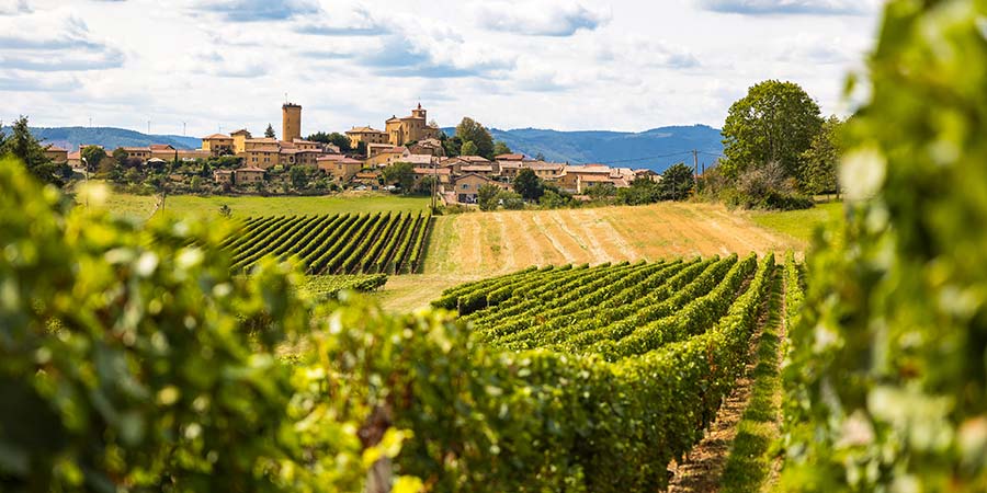 Exploring the Beaujolais winelands