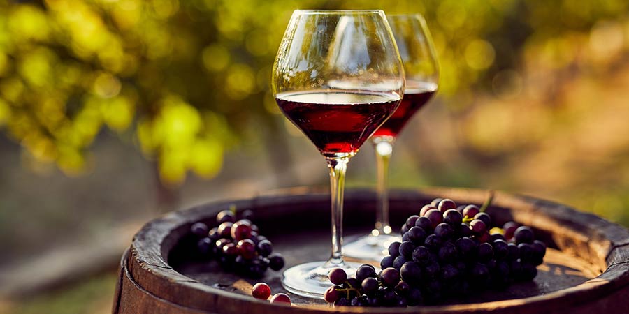 Tasting world-renowned Châteauneuf-du-Pape wines
