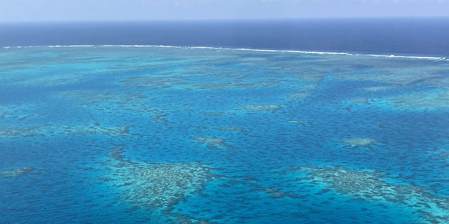 The bright blue sea and Great Barrier Reef.