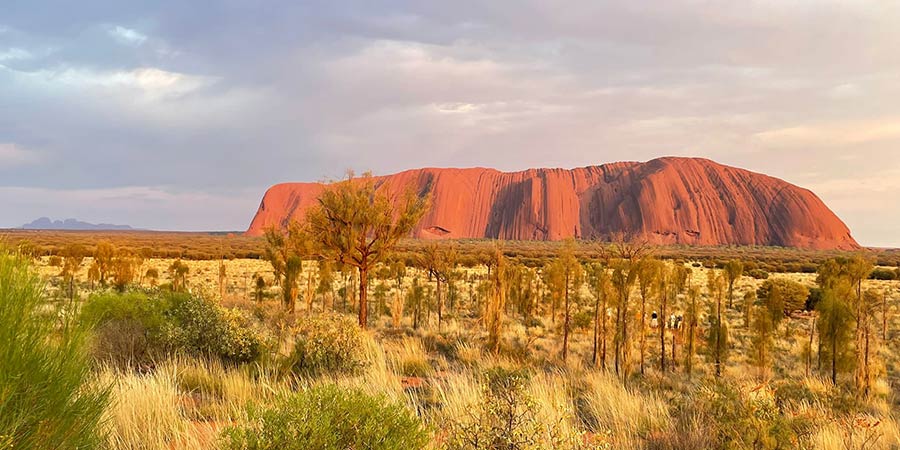 The orange rocks of Uluru.