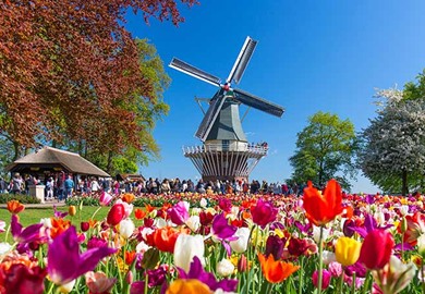 Keukenhof Gardens