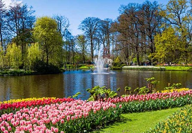 Keukenof Gardens